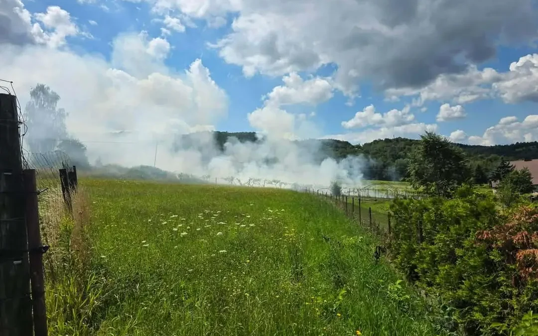 Pożar traw w Czchowie – strażacy walczą z ogniem na ulicy Cmentarnej