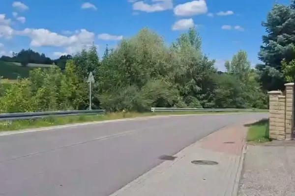 Ochotnicy z OSP Jurków ruszyli do pożaru traw w Czchowie