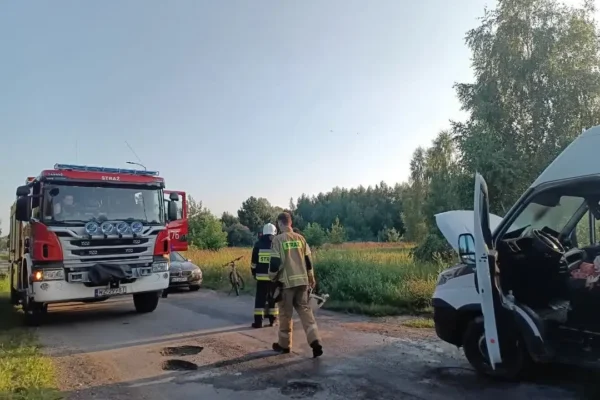 Pożar samochodu dostawczego w Borzęcinie Małym