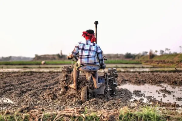 Rusza II etap wniosków o zwrot akcyzy za paliwo rolnicze w Czchowie