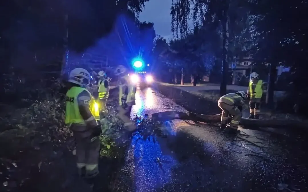 Drzewo powalone na drogę w Borzęcinie Dużym – interwencja OSP