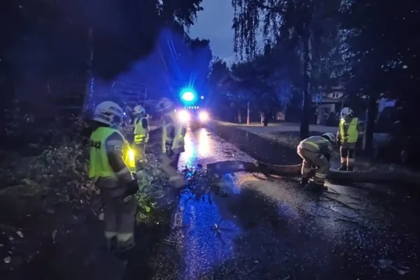 Drzewo powalone na drogę w Borzęcinie Dużym – interwencja OSP