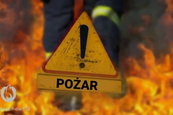 Pożar ścierniska w gminie Tymowa – zagrożona stodoła, akcja służb