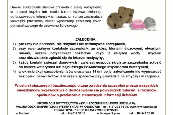 Szczepienie lisów wolno żyjących w Małopolsce – akcja od 20 do 30 września 2026