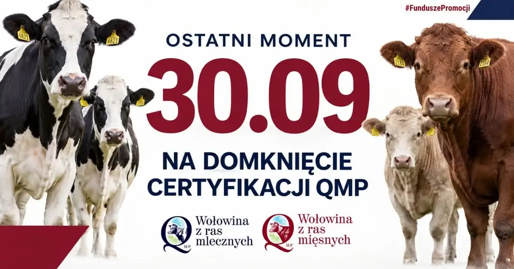 Certyfikat QMP: rolnicy z gminy Brzesko mają czas tylko do 30 września