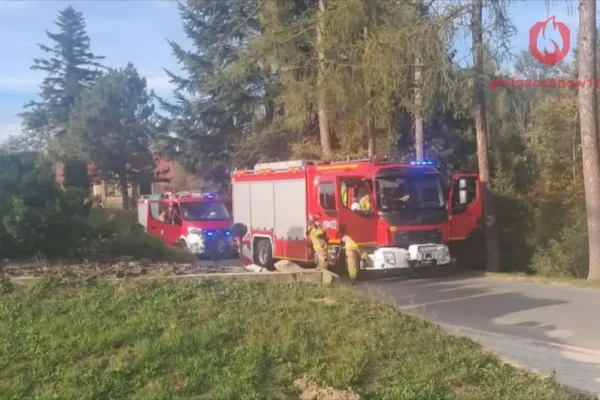 Wypadek w Złotej. Dwie osoby ranne, utrudnienia w ruchu