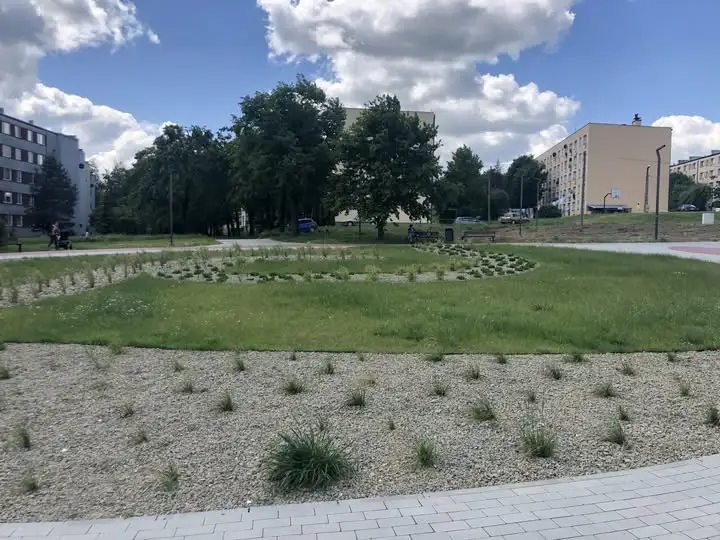 Gmina Brzesko wypowiada umowy dzierżawy ogródków działkowych. W tym miejscu powstanie park dla tysięcy mieszkańców