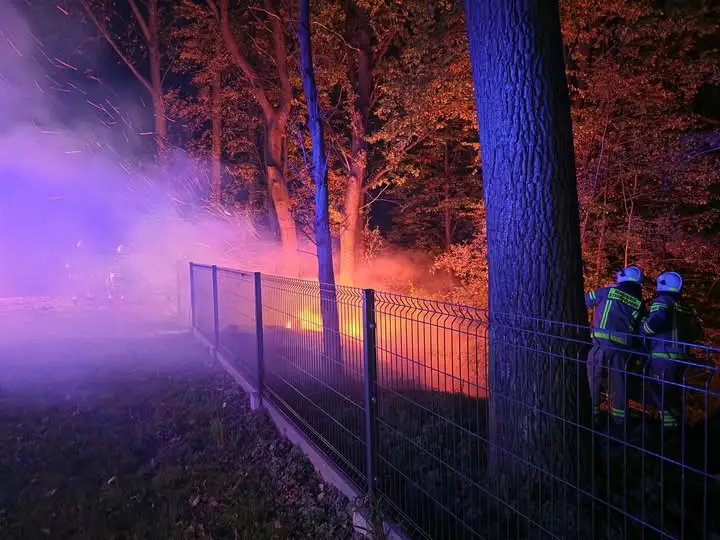 Pożar zarośli w Złotej. Na miejscu działały cztery zastępy straży pożarnej